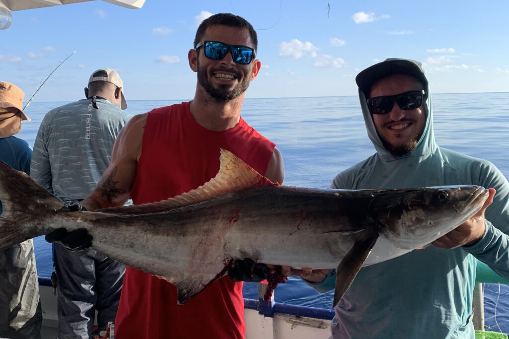 OFFSHORE-cobia-best