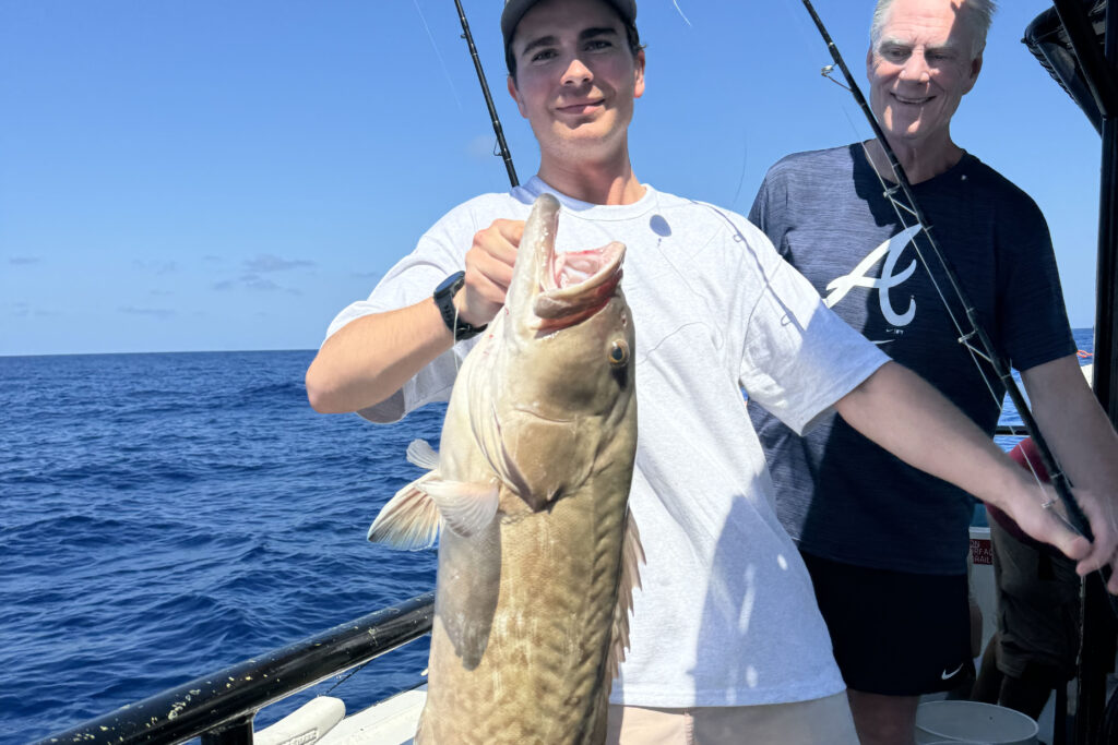 OFFSHORE-gaggrouper