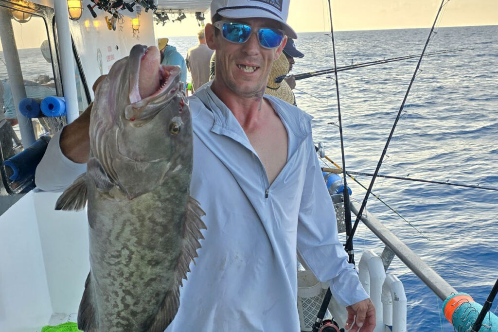 OFFSHORE-gaggrouper