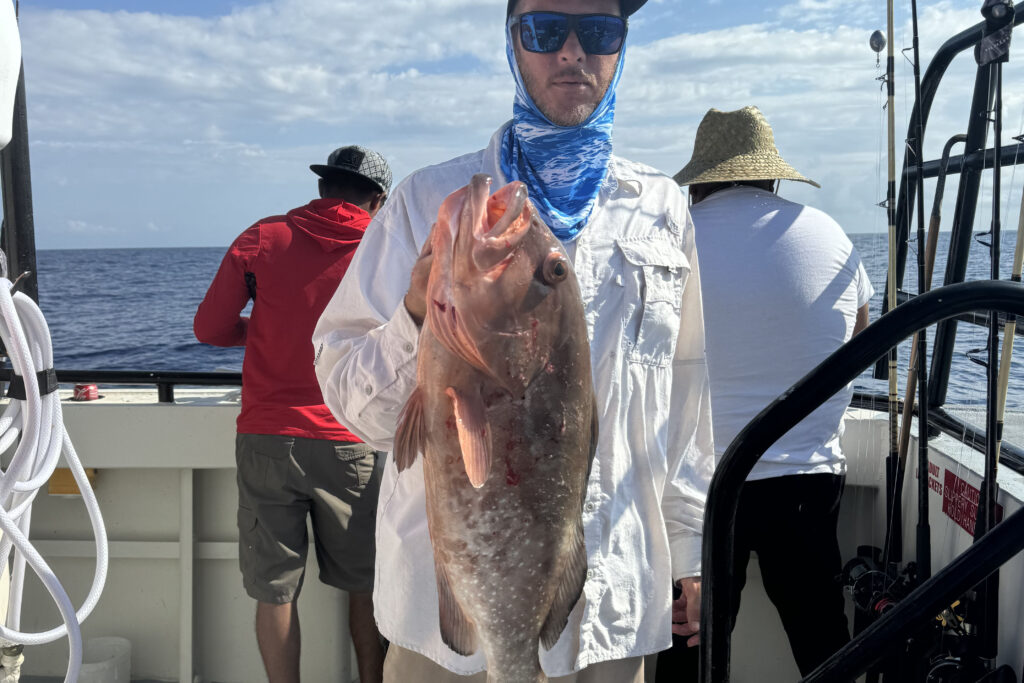 OFFSHORE-redgrouper (1)