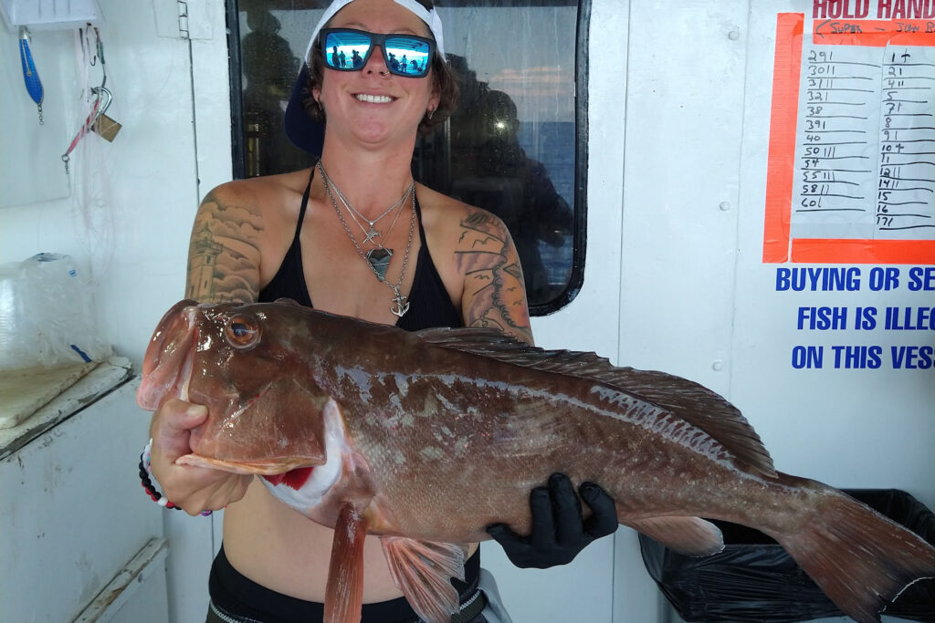 OFFSHORE-redgrouper