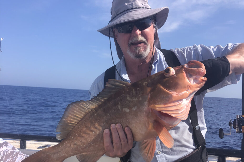 OFFSHORE-redgrouper (5)