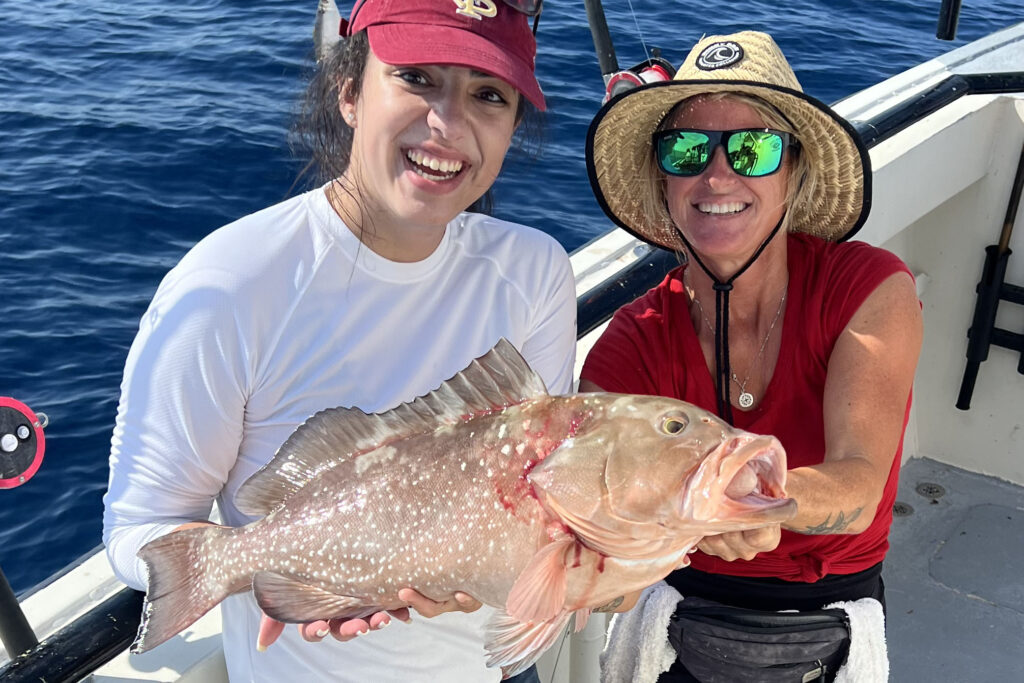 OFFSHORE-redgrouper (9)