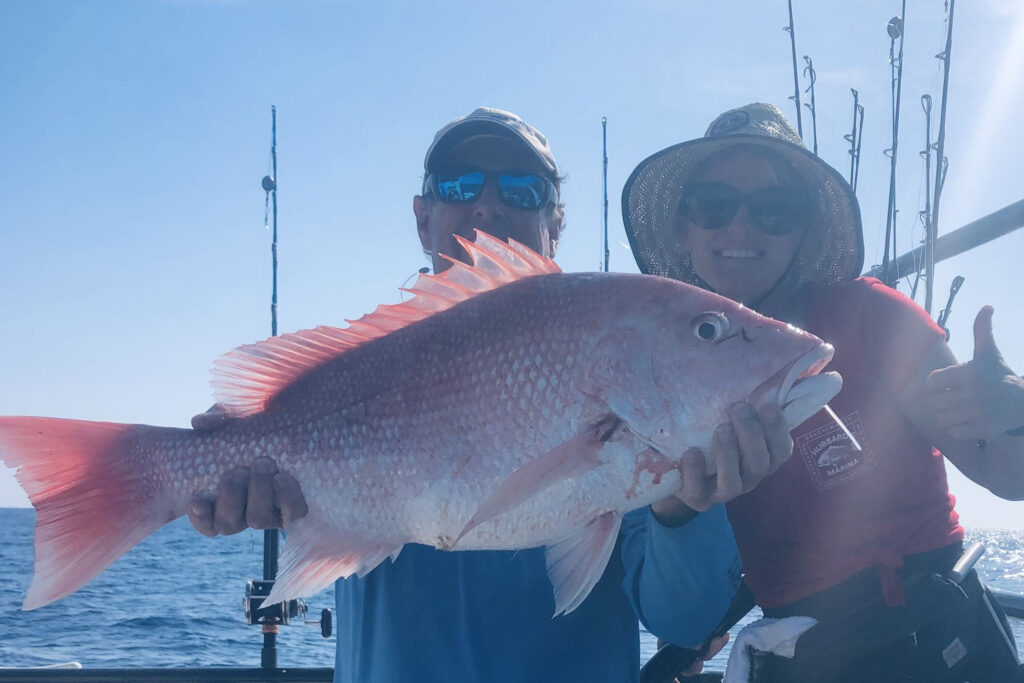 OFFSHORE-redsnapper (3)