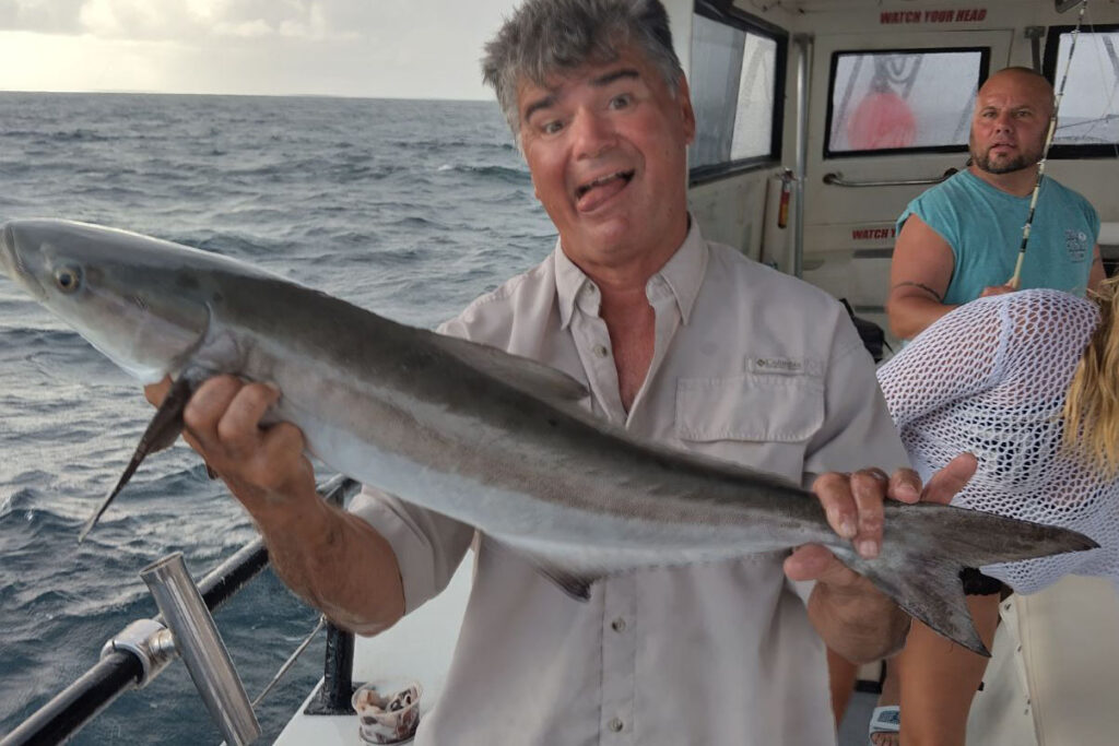 NEAR SHORE - cobia.