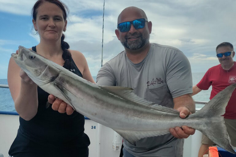 NEAR SHORE - cobia