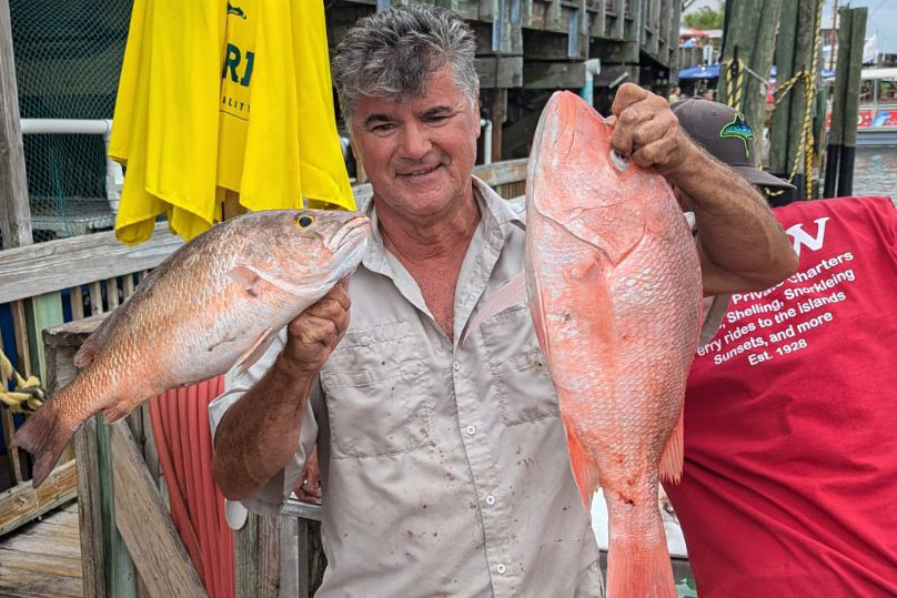 NEAR SHORE - mangrove and red snapper