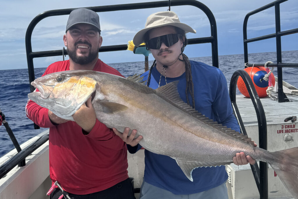 OFFSHORE-amberjack-huge