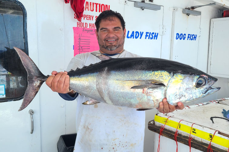 OFFSHORE - blackfin tuna