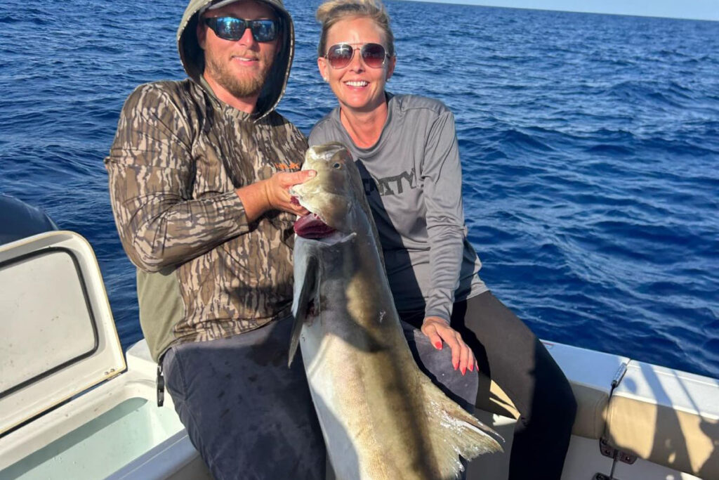 OFFSHORE-cobia