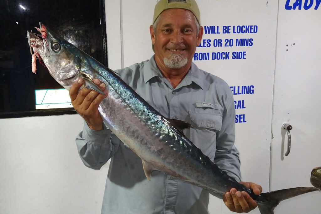 OFFSHORE - kingfish.