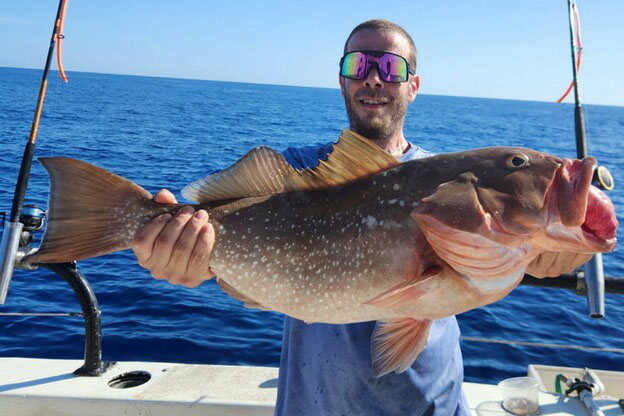 OFFSHORE - red grouper (1)