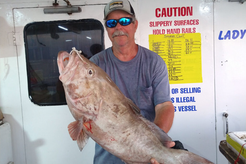 OFFSHORE - red grouper