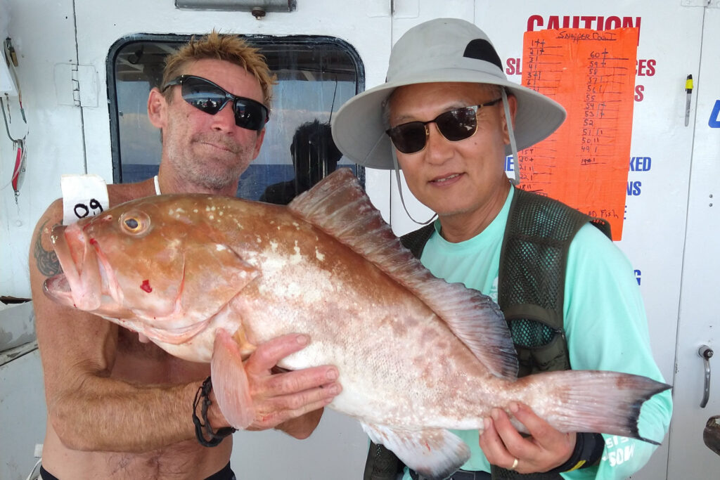 OFFSHORE - red grouper (2)