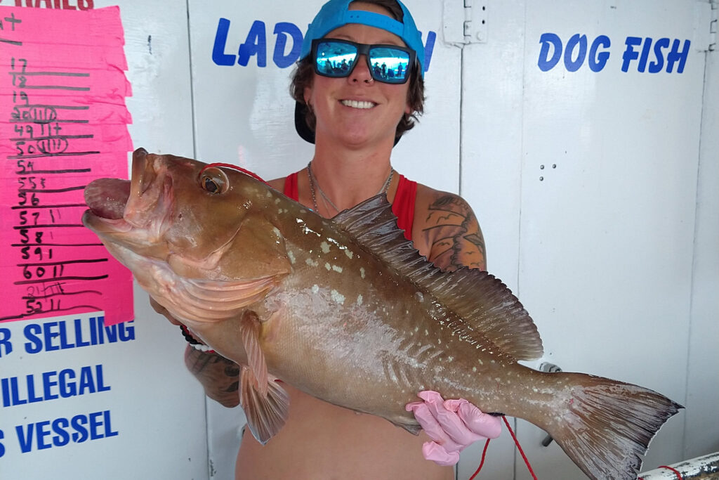 OFFSHORE - red grouper (3)