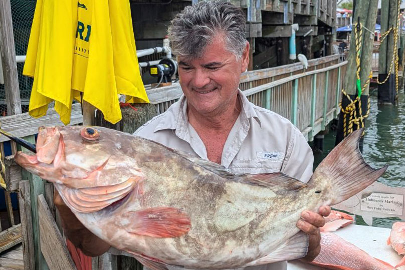 OFFSHORE - red grouper (4)