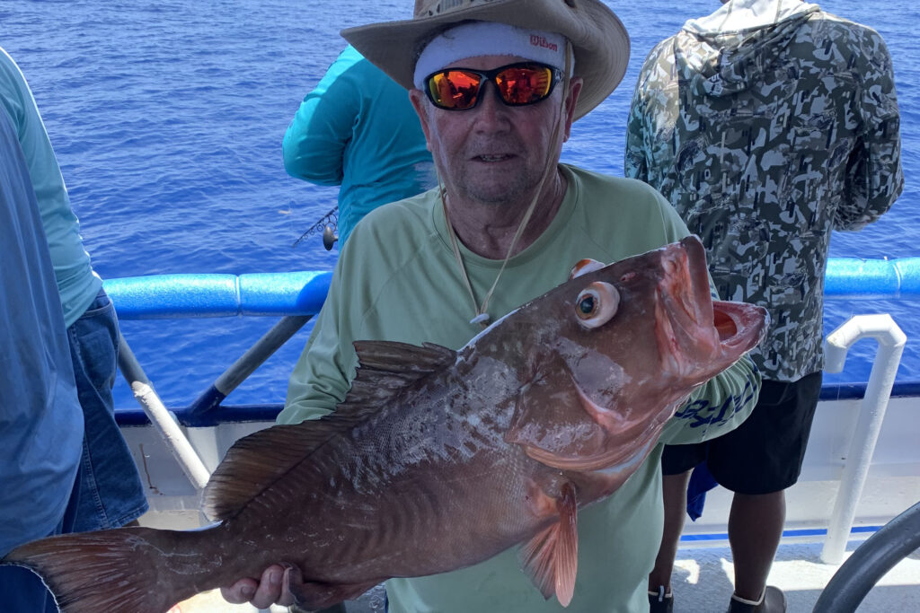 OFFSHORE - red grouper (5)