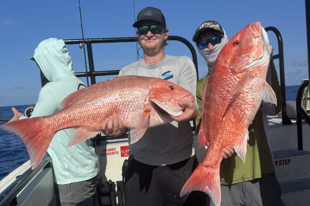 OFFSHORE - red snapper (1)