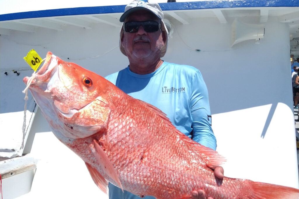 OFFSHORE - red snapper (10)