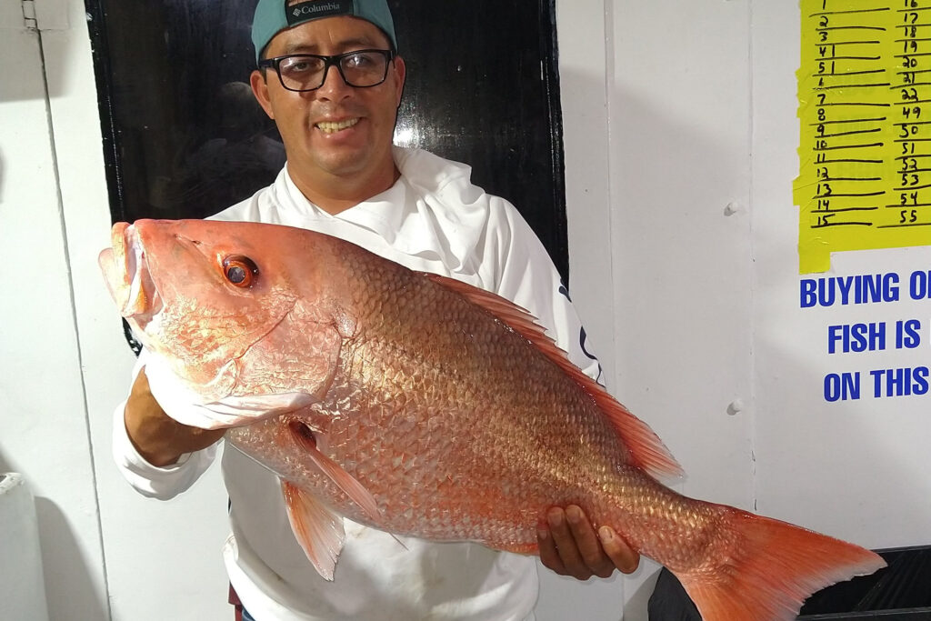 OFFSHORE - red snapper (12)