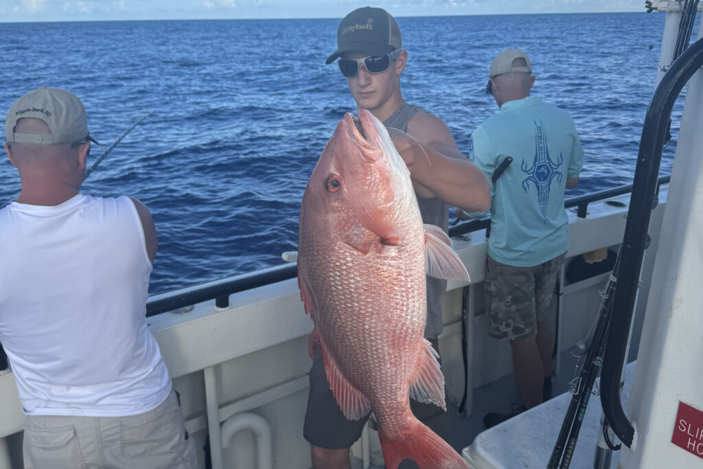 OFFSHORE - red snapper (17)