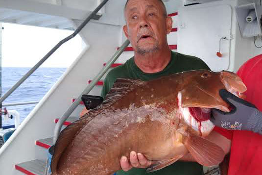 OFFSHORE-redgrouper