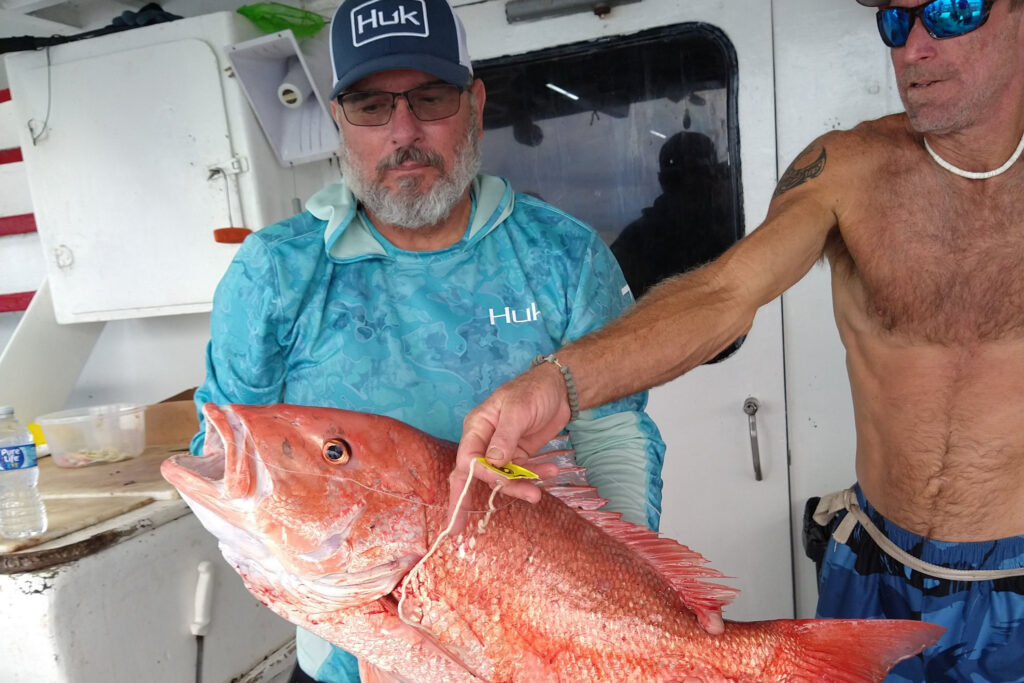 OFFSHORE-redsnapper (2)