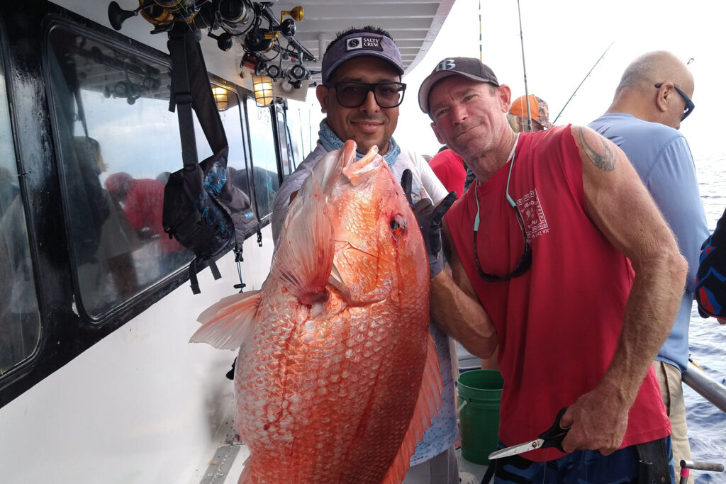 OFFSHORE-redsnapper (3)