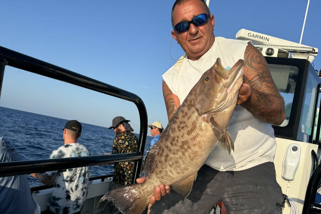 OFFSHORE - scamp grouper