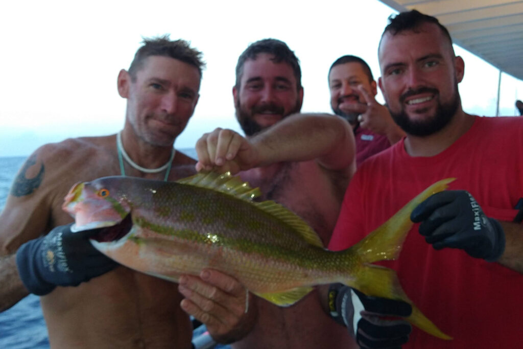 OFFSHORE-yellowtail-snapper (1)