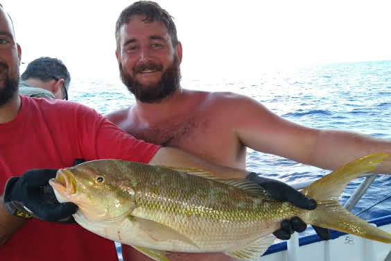 OFFSHORE-yellowtail-snapper