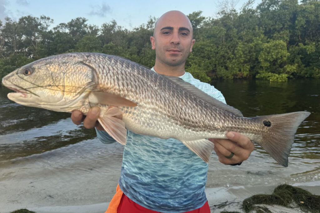 INSHORE-redfish3