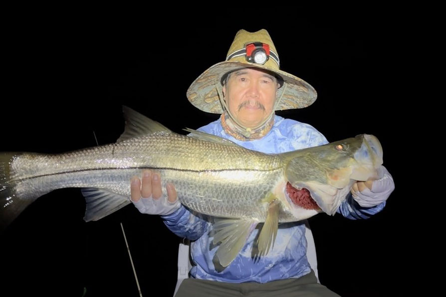 INSHORE-snook2