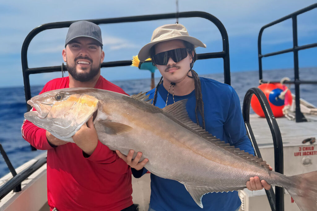 OFFSHORE-amberjack