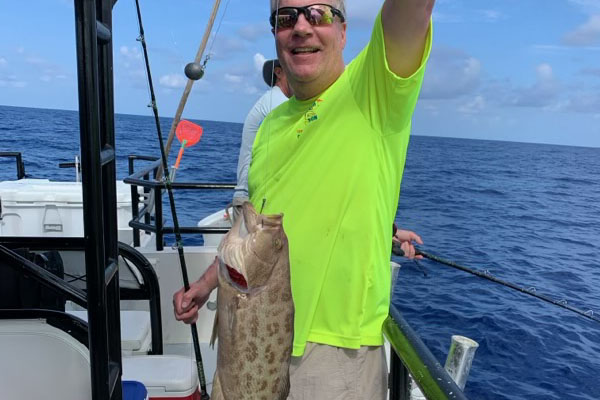 OFFSHORE - scamp grouper (1)