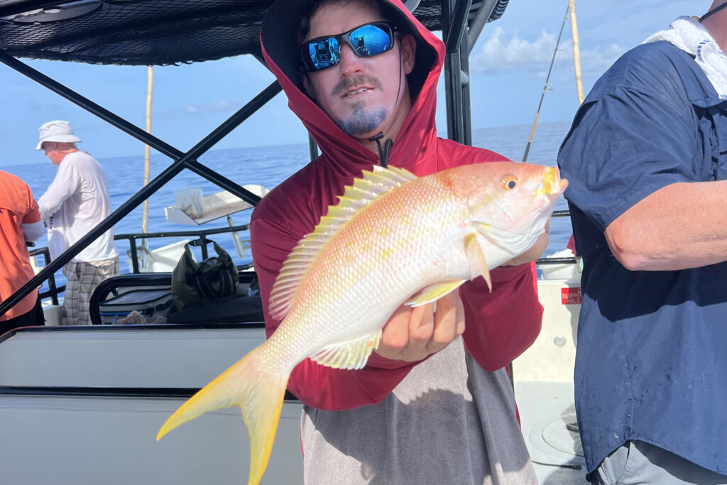 OFFSHORE-yellowtailsnapper