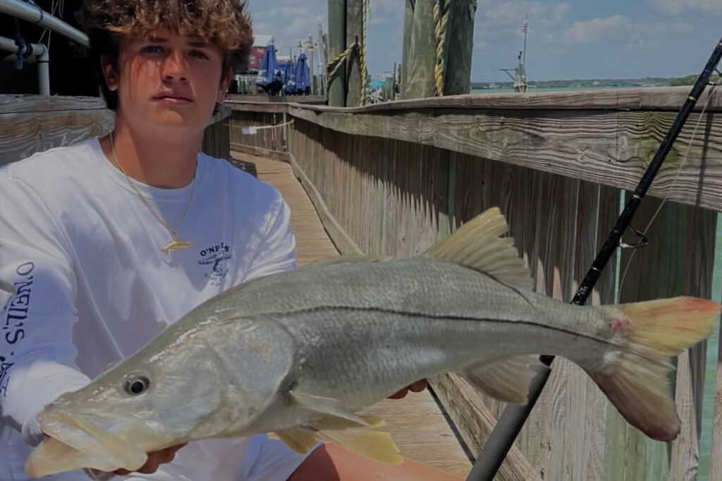 inshore-snook (1)