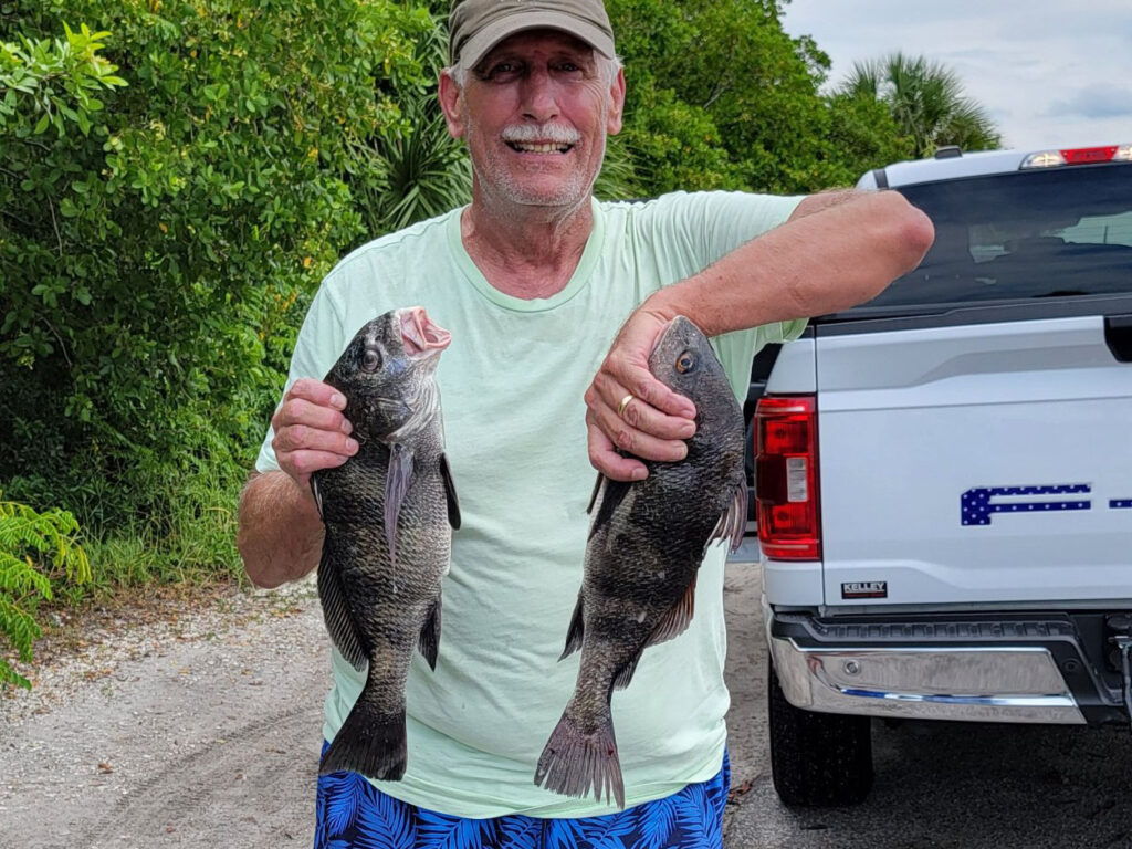 INSHORE-blackdrum