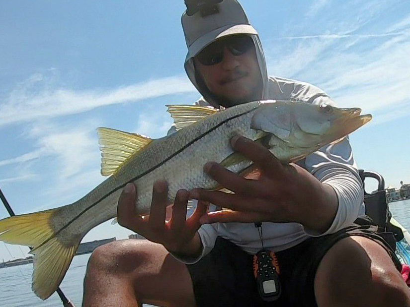 INSHORE-snook (1)