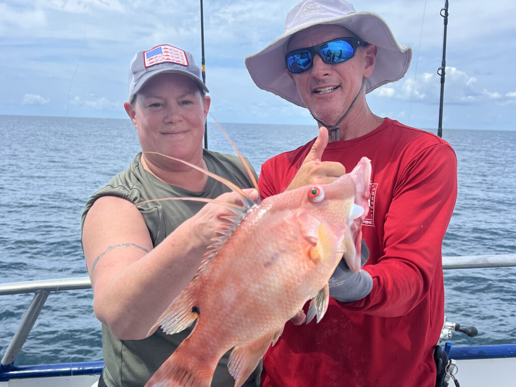 NEARSHORE-hogfish