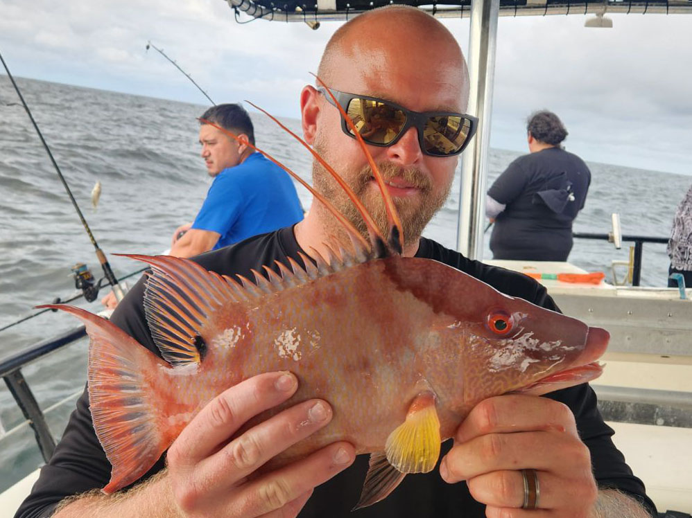 NEARSHORE-hogfish (2)