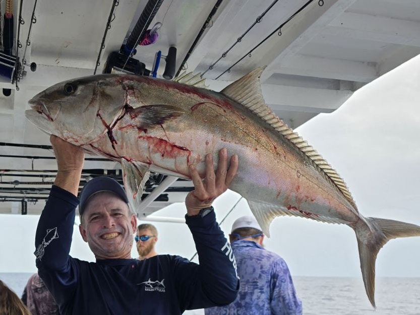 OFFSHORE-amberjack