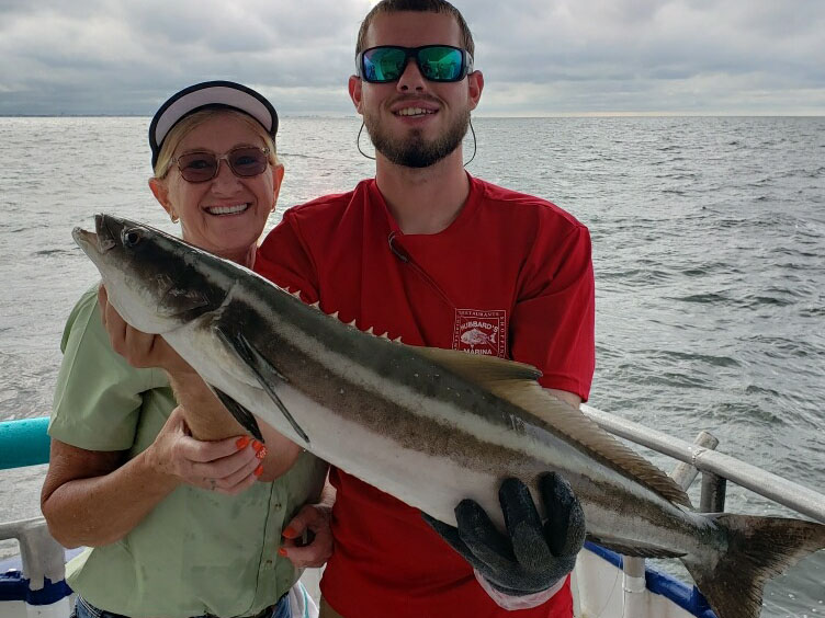 OFFSHORE-cobia