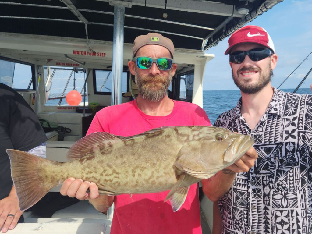 OFFSHORE-gaggrouper