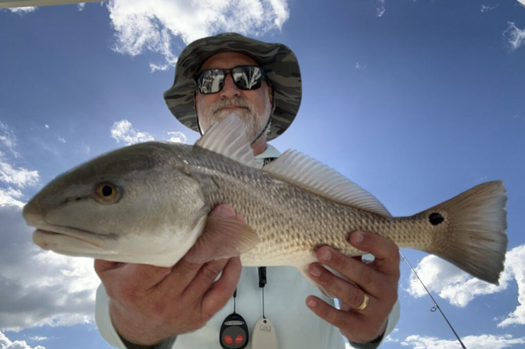 INSHORE-redfish3