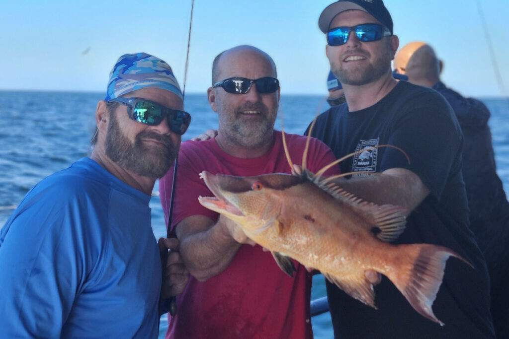 NEARSHORE-hogfish (10)