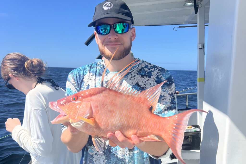 NEARSHORE-hogfish (12)