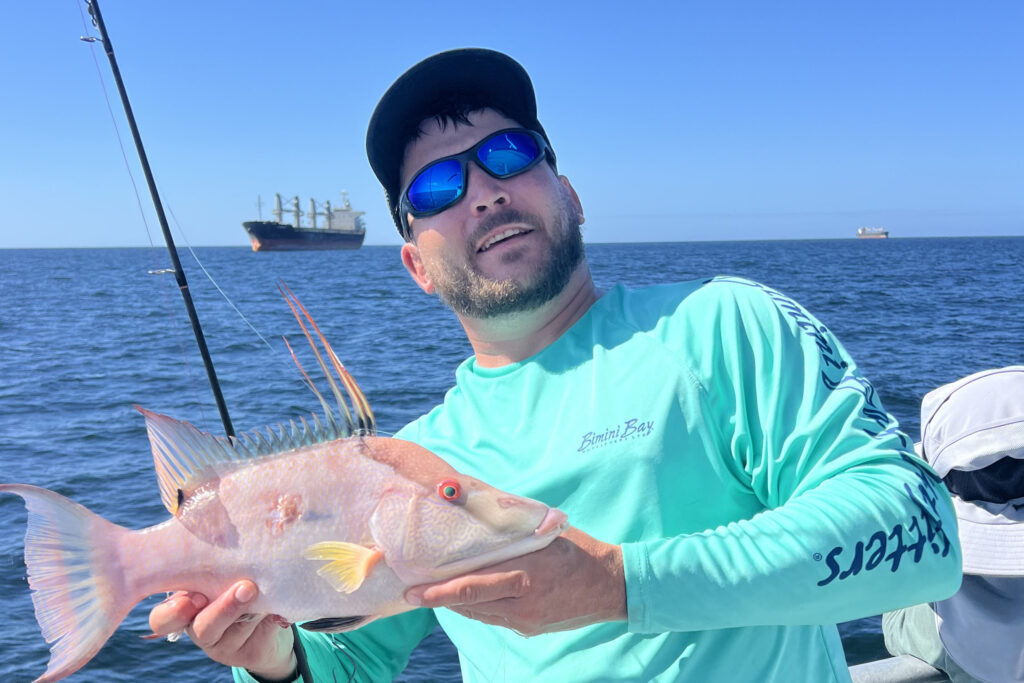 NEARSHORE-hogfish (14)