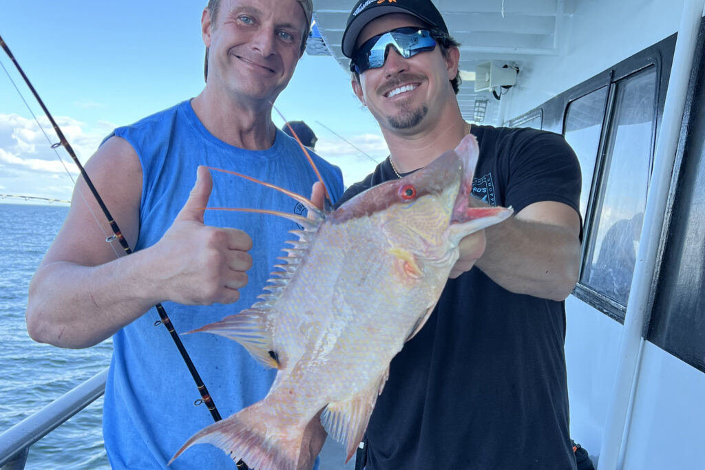 NEARSHORE-hogfish (18)