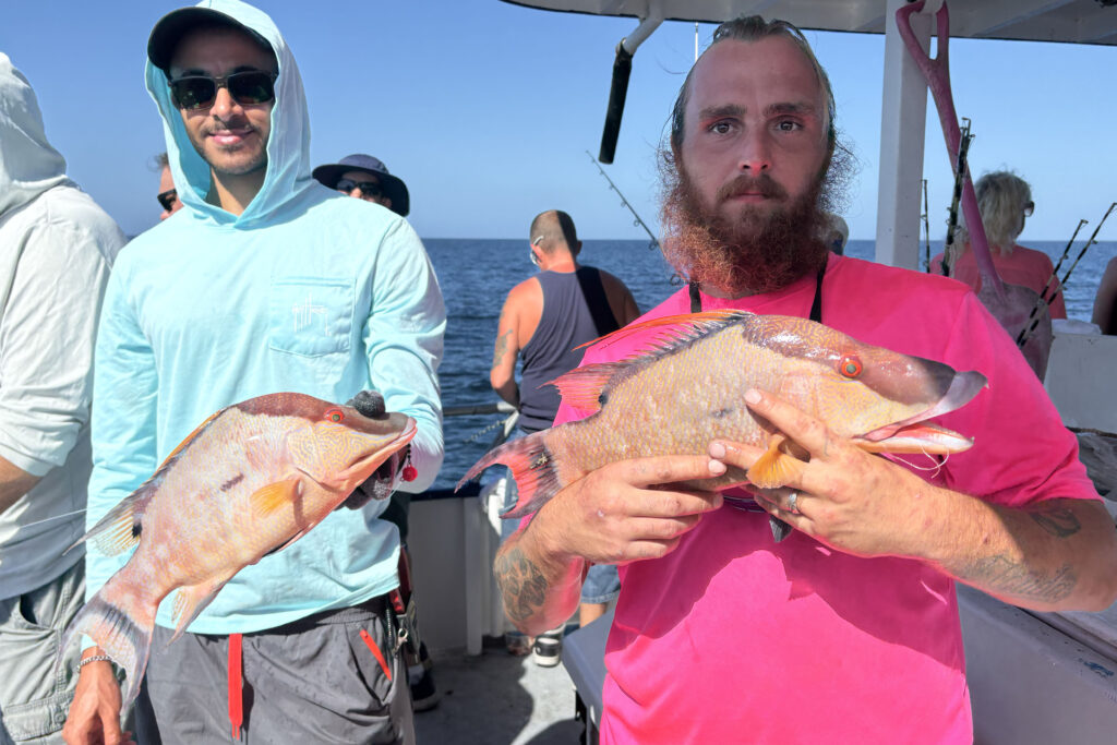 NEARSHORE-hogfish (2)